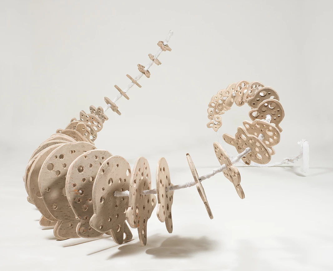 An overhead flat-lay photograph of a sculptural art piece made of stacked circular wooden discs with holes, arranged in a curling spiral shape, in warm wood tones against a soft neutral background.
